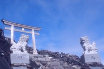 吉田口頂上に鎮座する久須志神社の迎え鳥居と狛犬