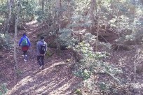 樹海ネイチャーツアー