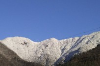 樹海ネイチャーツアー