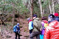 本栖湖みらいプロジェクト様（樹海ネイチャーツアー研修）