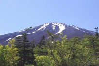 名古屋市立昭和橋中様（五合目ネイチャートレイル）
