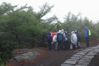 開成学園開成中様（五合目ネイチャートレイル）