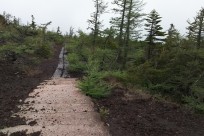 名古屋市立宮中様（五合目ネイチャーコース）