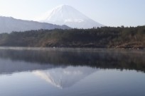 樹海ネイチャーツアー