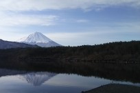 樹海ネイチャーツアー