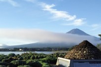 樹海ネイチャーツアー