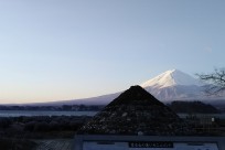 樹海ネイチャーツアー