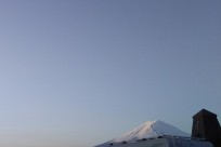 樹海ネイチャーツアー