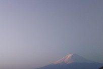 樹海ネイチャーツアー