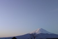 樹海ネイチャーツアー