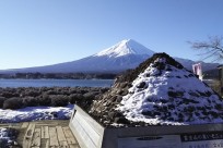 樹海ネイチャーツアー