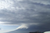 樹海ネイチャーツアー