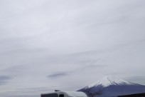 樹海ネイチャーツアー