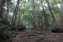 特別樹海ネイチャーツアー（㈱日本旅行国際事業部:イギリス、オーストラリアのゲストの皆様）