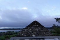 樹海ネイチャーツアー