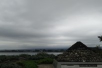 樹海ネイチャーツアー