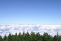 名古屋市立昭和橋中様（五合目ネイチャートレイル）