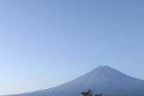 樹海ネイチャーツアー