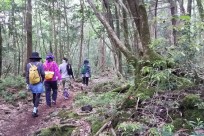 樹海ネイチャーツアー