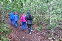 樹海ネイチャーツアー