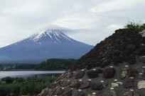 樹海ネイチャーツアー