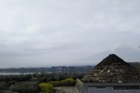 樹海ネイチャーツアー