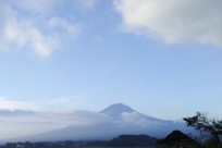 樹海ネイチャーツアー