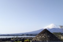 樹海ネイチャーツアー