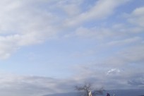 樹海ネイチャーツアー