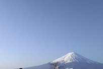 樹海ネイチャーツアー