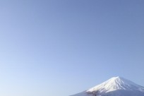 樹海ネイチャーツアー