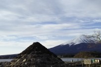 樹海ネイチャーツアー