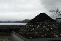 樹海ネイチャーツアー