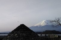 樹海ネイチャーツアー