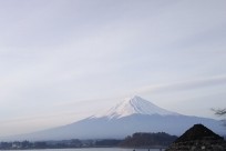 樹海ネイチャーツアー