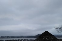 樹海ネイチャーツアー