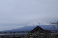 樹海ネイチャーツアー