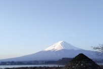 樹海ネイチャーツアー