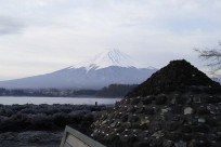 樹海ネイチャーツアー