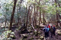 本栖湖みらいプロジェクト様（樹海ネイチャーツアー研修）