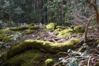 モスフードサービス㈱様（コミュニケーション研修）