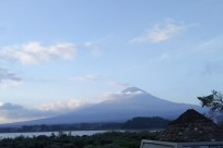 樹海ネイチャーツアー