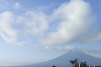 樹海ネイチャーツアー