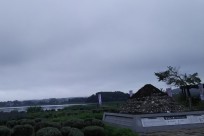 樹海ネイチャーツアー