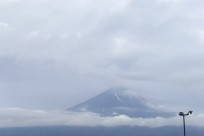 樹海ネイチャーツアー