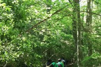 樹海ネイチャーツアー