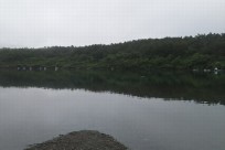 樹海ネイチャーツアー