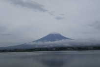 樹海ネイチャーツアー
