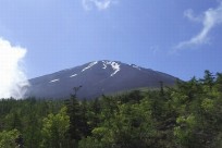 開成学園開成中（五合目ネイチャートレイル）