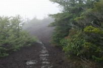 和歌山県立桐蔭中（五合目ネイチャーコース）